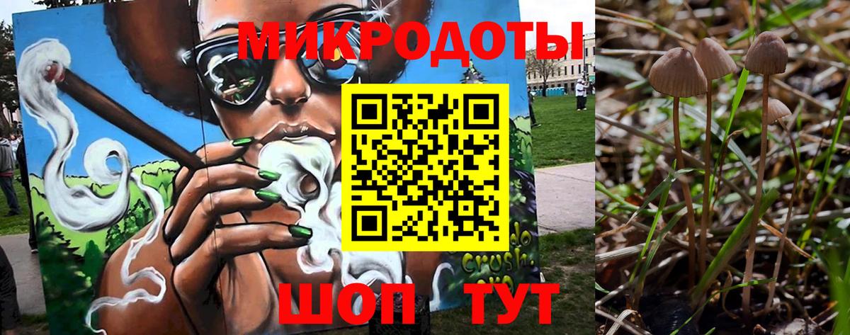 Галлюциногенные грибы мицелий Братск